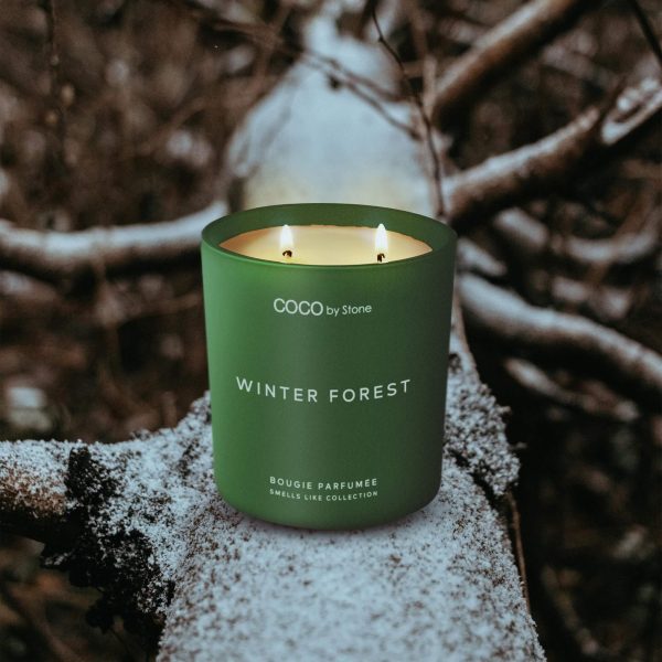 11oz Smells Like Winter Forest Candle For Discount - Image 2